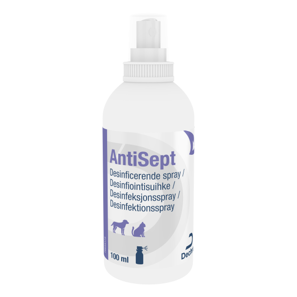 AntiSept Chlorhexidine Spray 100 ml